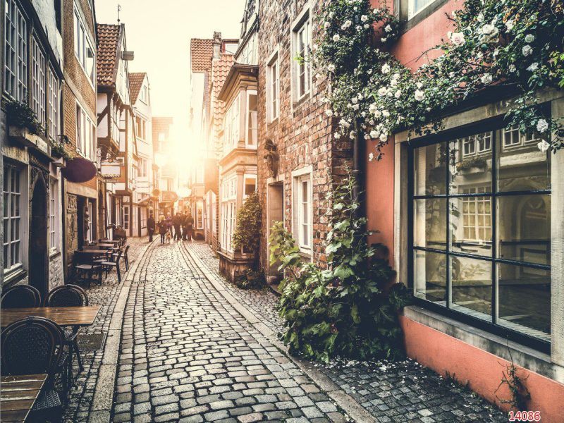 14086 - Tranh Con Đường