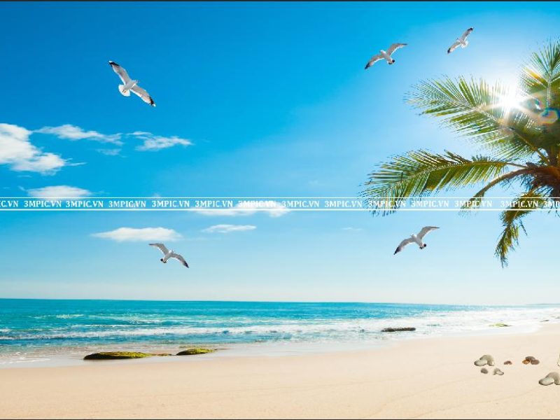 47388 - Tranh Cảnh Biển