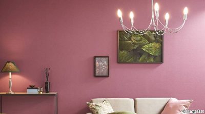 Giấy Dán Tường Nhật Bản NT13