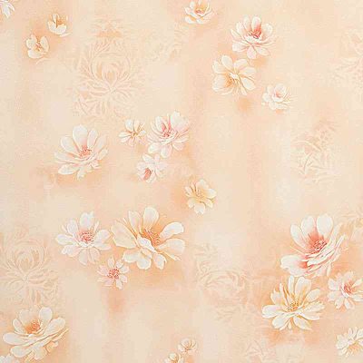 Giấy Dán Tường Trung Quốc NT25