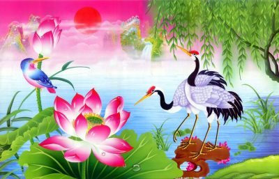 Tranh Hoa Sen NT12